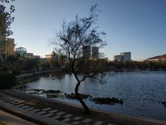 -山东大学(威海校区)