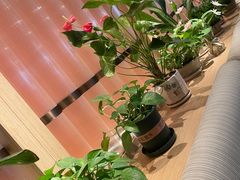 -云海肴云南菜(浦江欢乐颂店)