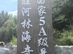 -汤旺河林海奇石景区