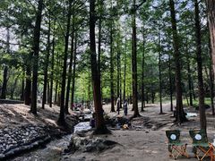 -白水寺森林公园