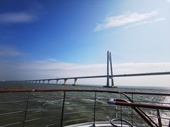 -招商蛇口邮轮母港(观光客运)