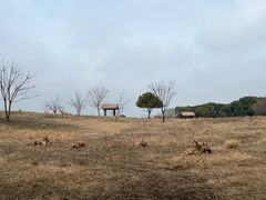 -良渚古城遗址公园