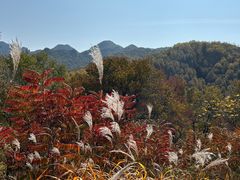-玉渡山自然风景区