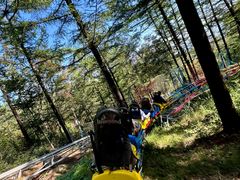 -沂蒙山旅游区云蒙景区(蒙山国家森林公园)