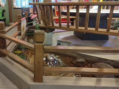 -大融厨·鸡毛店·川菜(果壳里东安湖店)