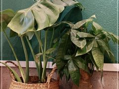 -春莱·老挝咖啡·泰式奶茶(钟楼店)