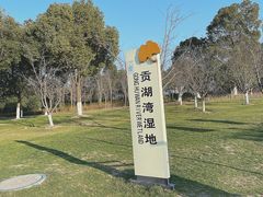 -贡湖湾湿地公园