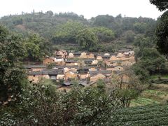-杨家堂村