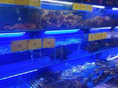 -鹊华居·地道鲁菜·海鲜·融合味(大明湖店)
