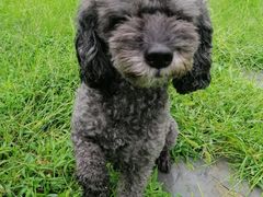 -国御温泉度假小镇