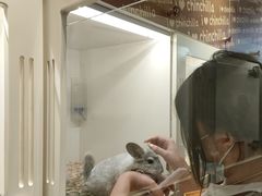 -龙猫仔乐园(惠福东路店)