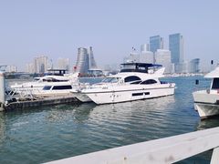 -日照世帆赛基地