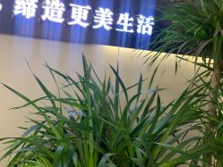 -In Beauty印诺时尚美发沙龙