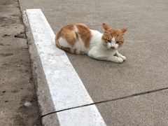 -长安大学(北校区)