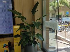 -上海仁爱医院口腔科 · 种植