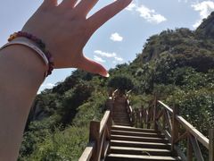 -大岭沟猕猴桃谷风景区