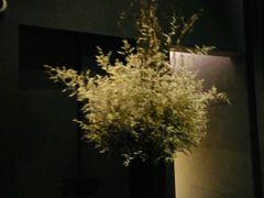 -养云安缦·廊