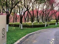 -重庆中央公园(渝北区)