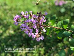 -国家植物园