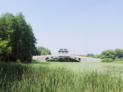 -东湖落雁景区