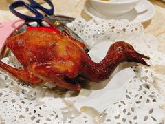 -石岐乳鸽村(南海第三分店)