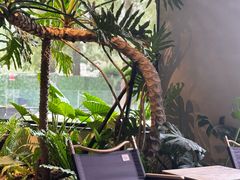 -J Create城市露营咖啡·简餐·宠物(上海动物园店)