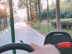 -昆山城市生态森林公园