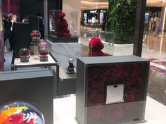 -ROSEONLY诺誓(青岛万象城店)