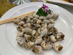 盐焗海螺-四海之家(蛇口店)