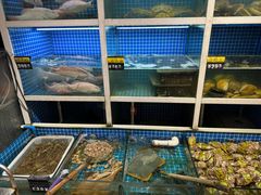 -金龙·打边炉(南京西路店)