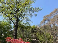 -崂山仰口游览区