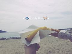 -南丫岛