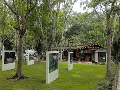 -野象谷景区