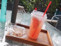 西柚苏打-柴犬高等学院·狗咖·柴犬售卖·宠物训练