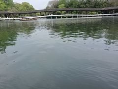 -西湖游船