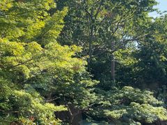 -三千院