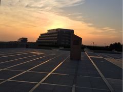 iphone_upload_pic-南汇嘴观海公园