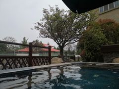 -芭东小镇温泉