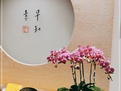 -枣子树·素食餐厅(普陀山店)