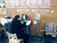 -爱侣宠医·鹦鹉专科·小型哺乳类·异宠专科(灵石路店)