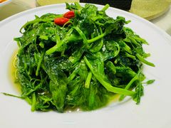 -蜀阳餐厅·金牌水煮鱼