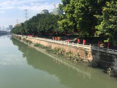 -光明港公园