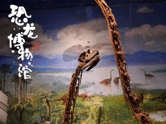 -自贡恐龙博物馆