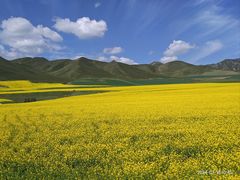 -扁都口生态休闲旅游区