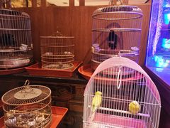 -老江南春·中国龙菜(衡山路店)