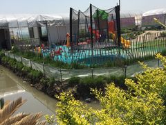 -小鱼草莓采摘园农家乐·小鱼餐厅