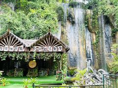 -西双版纳原始森林公园