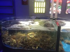 -蟹之国·精品蟹料理(极地店)