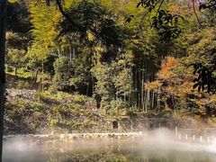 -莫干山风景区