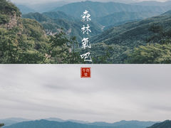 -牛背梁国家森林公园